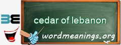 WordMeaning blackboard for cedar of lebanon